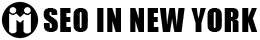 SEO in NY logo